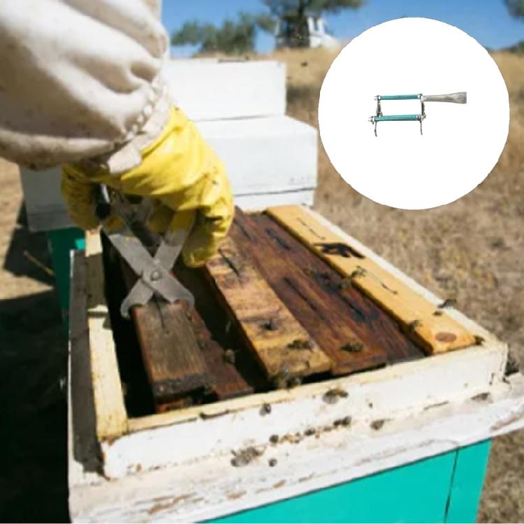 Stainless Steel Bees Frame Clip Queen Rearing System Tool Nests Box Holder Capture Hive Equipment Beekeeping Tool