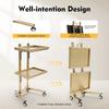 Two-tier Gold Hairdressing Trolley,hair Tool Cart,stainless Steel Salon Rolling Cart W/ 4 Swivel Wheels, for Home and Clinic Use