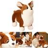 Cute Plush Corgi Dog Toy Soft And Huggable Stuffed Animal For Kids And Pets Brown And White Color 23cm
