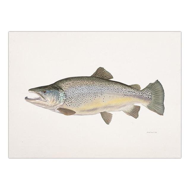 Decorative Painting Retro Fish Restaurant Hotel Paintings Animal Print Wall Pictures for Living Room Flatfish Wall Art Canvas