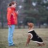12 Pieces Dog Shirts Pet Printed Clothes with Funny Letters Summer Pet T Shirts Cool Puppy Vest Breathable Dog Outfit Soft Cat Sweatshirt for