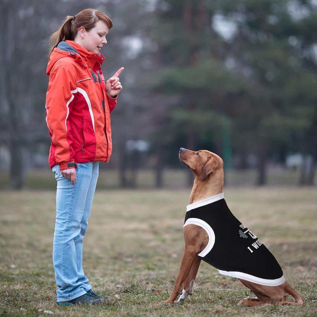 12 Pieces Dog Shirts Pet Printed Clothes with Funny Letters Summer Pet T Shirts Cool Puppy Vest Breathable Dog Outfit Soft Cat Sweatshirt for