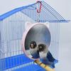Bird Mirrors for Cage Plastic Mirror with Metal Hanging Hook 5.9 Inch Diameter Keeping Birds Occupied and Engaged