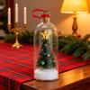 Yousheng Christmas Tree Message In A Bottle Recordable Voice Christmas Tree Ornament with Playback Cork Snowy Scene In Bottle Christmas Gifts