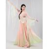 Gradient Butterfly Classical Dance Performance Dress
