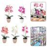 ABS-Material Künstliche Orchidee Rose Weiß Weiß Plus Rose