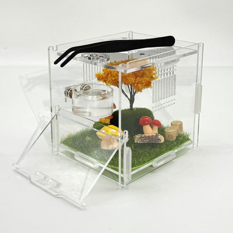 Gottesanbeterin Futter Napf Set Leicht zu Reinigen Reptilien Insekten Schale mit Clip Futterspender für Terrarium Lebensraum