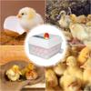 Automatic Egg Incubator 16 Eggs