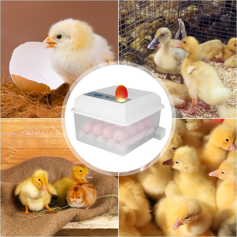 Automatic Egg Incubator 16 Eggs
