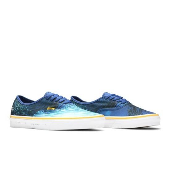 Vans National Geographic x Authentic 'Ocean' VN0A2Z5I002 Herrenschuhe