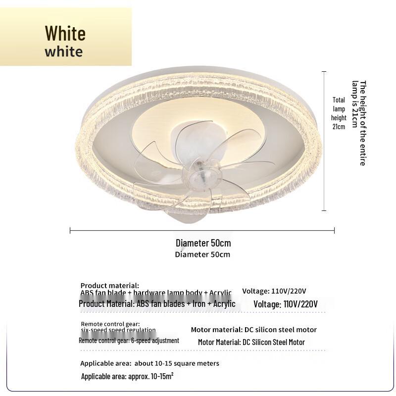 Oeny Modern Minimalist Ceiling Fan Light