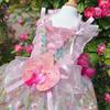 2026 Luxury Handmade Pet Dog Cats Clothes Fine Flower Embroidery Pink Blue Princess Dresses For Small Medium Dog Puppy Clothing