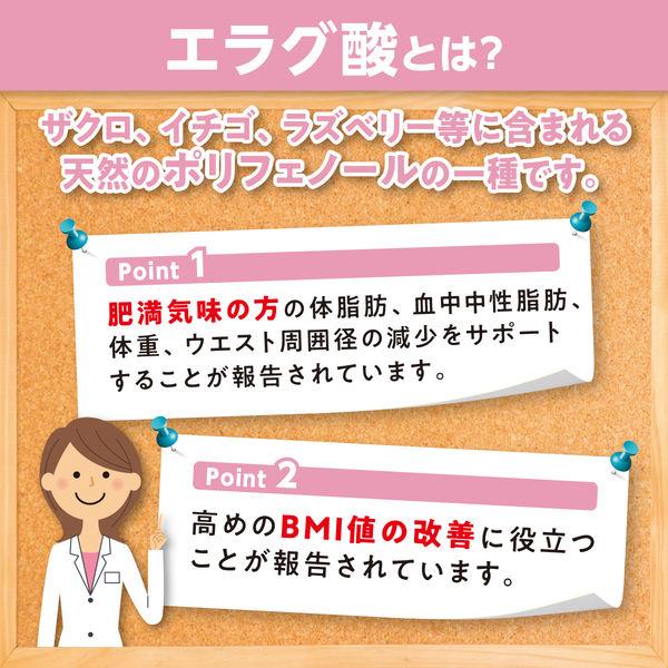 DHC Concerned About Waistline Supplement 20-Day Supply (40 Tablets) Supports Weight Body Fat and Triglyceride Management S1592