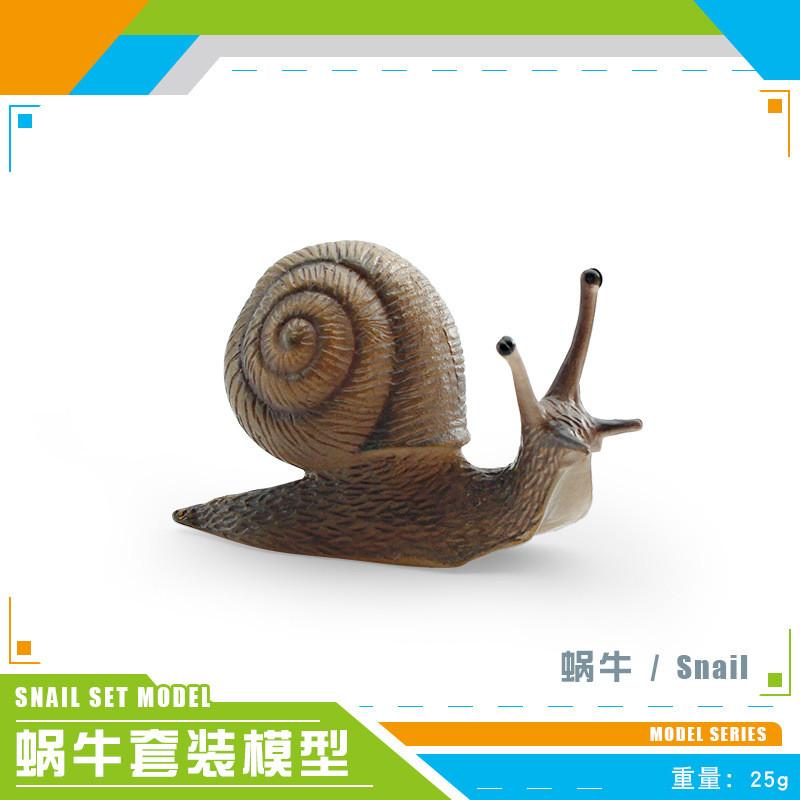 Vibrant Simulated Snail Figurines For Outdoor Garden And Indoor Home Decor
