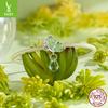 Oasis Butterfly Silicone Positioning Diy Bracelet Beaded, Crystal Water Drops S925 Sterling Silver Charm Pendant