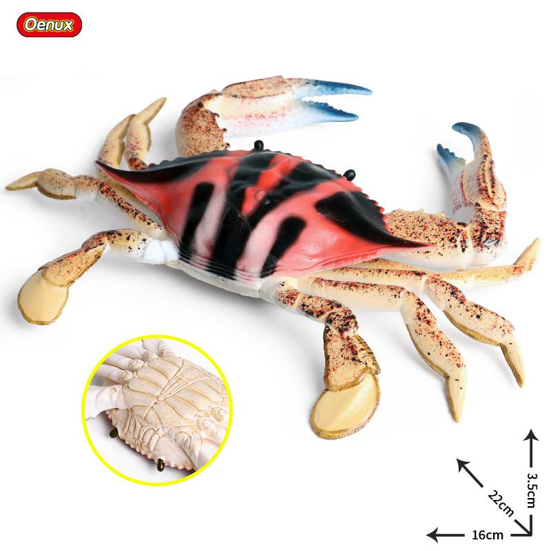 

Oenux Имитация Океанических Животных Рак-отшельник Наутилоидея Осьминог Морская Жизнь Модель Фигурки Коллекция Фигурок Экшн Фигурки Детская Игрушка Подарок
