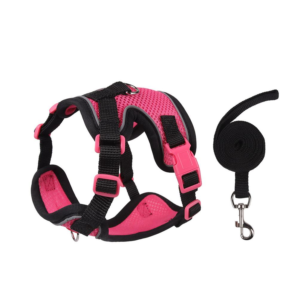 & Small Dog Leash Set - Outdoor Pet Vest for Puppies & Kittens