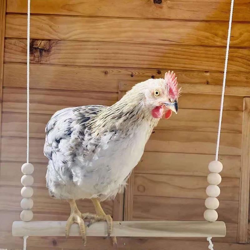 Chicken Swing Chicken Stand Parrot Suspension Bridge Pet Bird Toy Habitat Solid Wood Rooster Toy