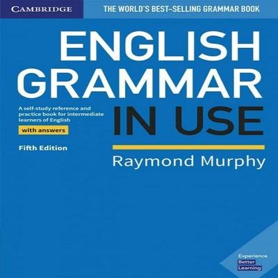 Englische Grammatik im Gebrauch Buch mit Antworten: Ein Nachschlage- und Übungsbuch zum Selbststudium für fortgeschrittene Englischlerner (Englisch, Taschenbuch)