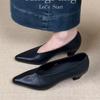 Fashion New Women's Heels Pointed Toe Shallow Mouth Retro Granny Shoes High Heel Pumps Seasons Single Shoes Fashion  Zapatillas De Mujer