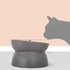 Raised Cats Food Bowls Plastic Cats Dish for Food or Water Tilted Feeding