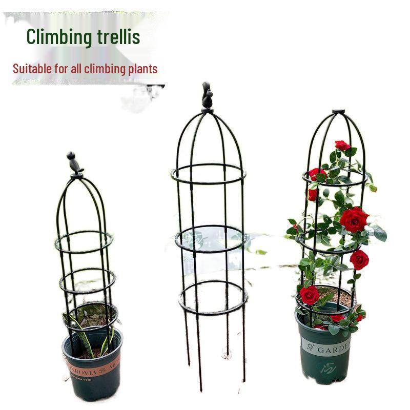 Clematis Rose Support Flower Stand with Climbing Frame for Indoor Plants