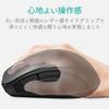 ELECOM Wireless Mouse (Receiver Included), Medium Size, 5 Buttons (BackForward Buttons), Silent, Black, M-FBL01DBXSBK