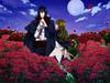Alice In the Country of Joker (Standard Edition) - PSP