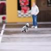 Handmade Small Animal Model 3D Printing Technology Miniature Dog/Cats Model Great For Collectors And Decorators