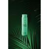 MASIL - 5 Probiotics Scalp Scaling Shampoo Mini