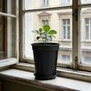 Květináč na orchideje s podmiskou Květináč s bočními větracími štěrbinami Květináč s drenážními otvory Zabraňuje hnilobě pro Phalaenopsis Růže Vnitřní Venkovní Použití