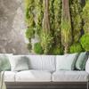 Wallpaper Moss plant nature