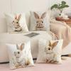 Cute Easter Bunny Cushion Cover Short plush Doublesided Print Square Throw Pillow Covers Sofa Home Cushion Decor