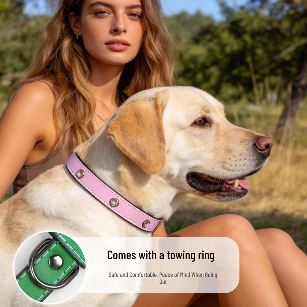 Luxury Diamond-Studded PU Leather Dog Collar - Durable & Fashionable for Outdoor Use