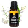 Parfumerie – Uleiuri esențiale