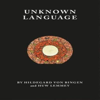 Unknown Language by Huw Lemmey Paperback Book 9781999675912