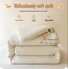 Class A Antibacterial Washed Cotton Quilt: Skin-Friendly, Warm, Thickened Fiber Quilt for Spring & Autumn