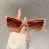 Fashion Cat Eye Women's Sunglasses Oversize Decoration Gradient Shades Outdoor Design Sun Glasses for Travelling Driving