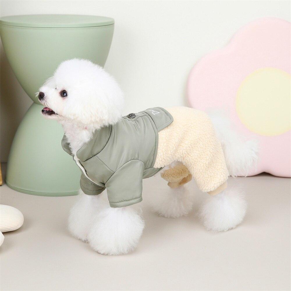 pomeranian winter clothes