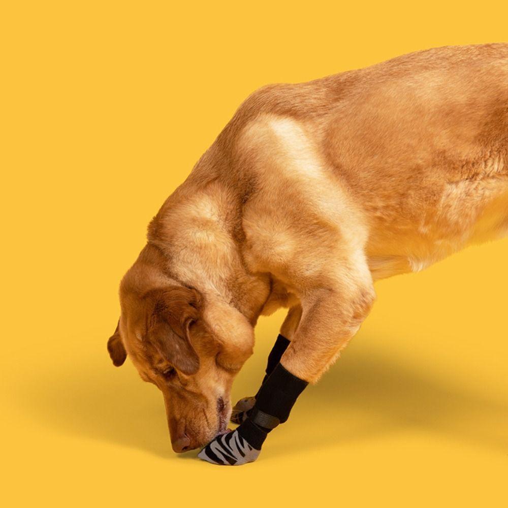 4 pièces/ensemble Avec Sangles Protecteur de Patte d'Animal de Compagnie Antidérapant Chaussettes de Sol pour Chien Couvre-Pied pour Animal de Compagnie Chaussettes pour Chien Automne