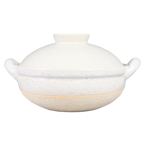 Hasegawa Healthy Earthenware Steamer, Large, 31 Cm, 3000 Ml Capacity, Serves 3-5, Direct Heat Only, White, Iga Ware, Made In Japan, ZW-19