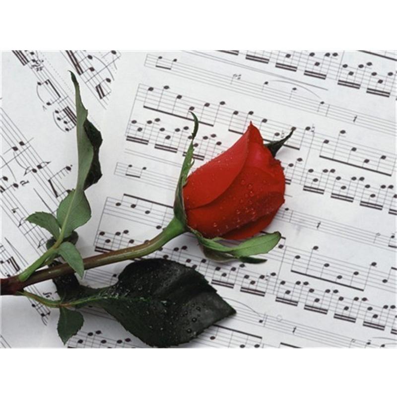 5D Paint With Diamonds Flower DIY Diamond Painting Rose Mosaic Rhinestones Pictures Wall Art Handicraft
