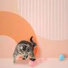 Automatic Smart Cat Toys Rolling Magic Ball Electronic Ball Interactive Gravity Intelligent Long-lasting Endurance Rolling Ball