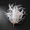 Super Fairy Feather Pearl Brooch Feminine Elegance Temperament Pin Party Coat High-end Corsage Hairpin Accessories