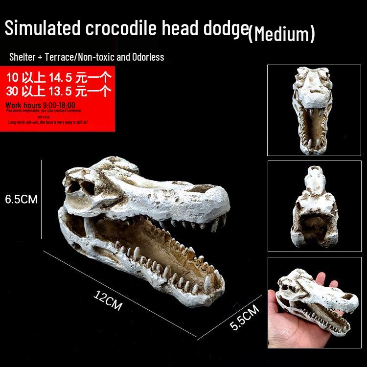 Akril Hüllőtenyésztő Doboz Dekoratív Koponyával