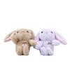 Rainbow Eared Long Rabbit Keyring Soft Stuffed Toy For Kids And Teens Cotton Pp