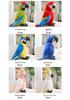 Macaw Plush Bird Doll - Soft Toy for Kids, Boys & Girls Gift
