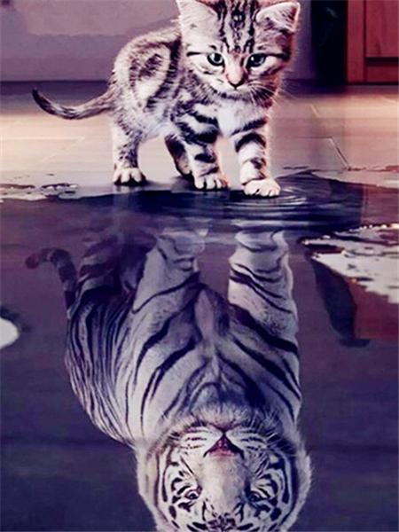 

5d Diy Алмазная картина Тигр Вышивка Животное Кошка Отражение Полный квадрат/круг Мозаика Вышивка крестом Домашний декор Full Round 20x30CM