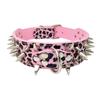 Wolf tooth spike pet collar color rivet dog collar medium to large dogs hand holding rope iron chain