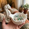 Plastic Jewelry Display Stand Cute Cosmetics Rack Seahorse-Shaped Storage Tray Home Ornaments